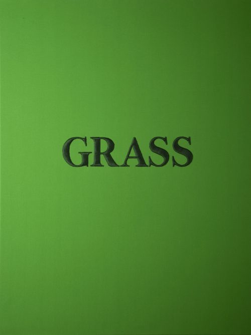 GRASS - 2023 - embroidery on cotton - 120x 90x2cm / 47x 35x0,78 in"